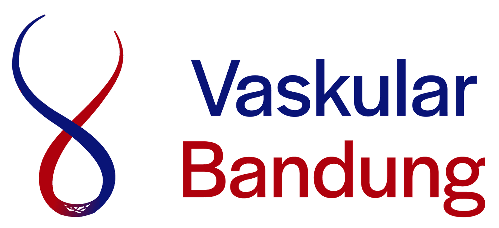 Logo Website Vaskular Bandung oleh dr. Romzi Karim, Sp.B, Subsp.BVE(K)
